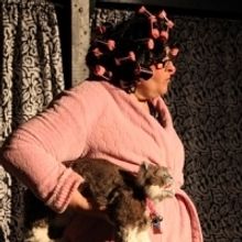 CATZILLA to Return to Chicago at The Hairpin Arts Center