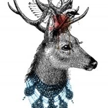 IATI Theater Presents THE DIAMOND STAG As Part Of Its Pride Celebration 2019