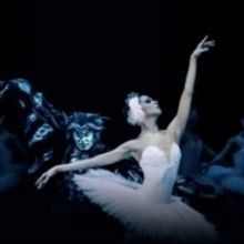 SWAN LAKE to Play Moscow Kremlin Theatre