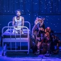 BWW Review: LIFE OF PI, Crucible, Sheffield Photo