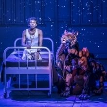 BWW Review: LIFE OF PI, Crucible, Sheffield