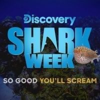 Rob Riggle Returns to SHARK WEEK with SHARK TRIP: EAT. PREY. CHUM