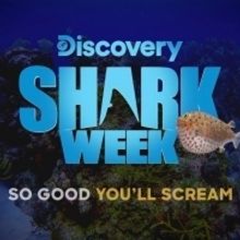 Rob Riggle Returns to SHARK WEEK with SHARK TRIP: EAT. PREY. CHUM