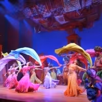 Meet the Current Cast of ALADDIN on Broadway!