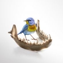 Full Cast Announced For The UK Premiere Of Lisa D'Amour's ANNA BELLA EEMA