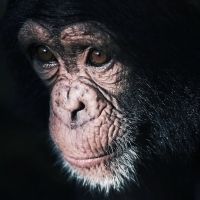 BWW REVIEW: Hilarious But Heartbreaking, TREVOR Holds An Important Message On Connection, Communication And How We Care For Creatures That Can't Speak Up For Themselves