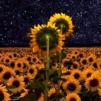 Theatre NOVA Hosts the Michigan Premiere of STARGAZERS
