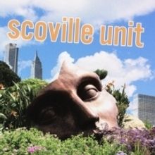 NYC Indie-Rock Band Scoville Unit Release New Single Off Forthcoming Album