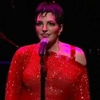 TV: Broadway Beat Special EXCLUSIVE Footage of Liza's At The Palace...! Video