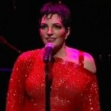 TV: Broadway Beat Special EXCLUSIVE Footage of Liza's At The Palace...!