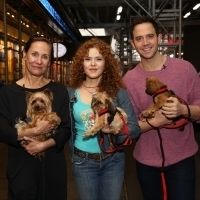 Exclusive Photo Coverage: Construction in Shubert Alley Leaves Broadway Barks…