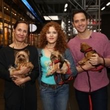 Exclusive Photo Coverage: Construction in Shubert Alley Leaves Broadway Barks Homeles
