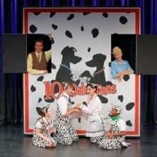 BWW Review: DISNEY'S 101 DALMATIONS Barks Up the Right Tree at Stages St. Louis