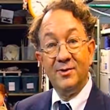 TV: CHICAGO 'Talkback Tuesdays' with William Ivey Long