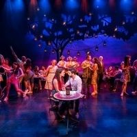 ON YOUR FEET Congas Into Wolverhampton