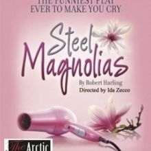 STEEL MAGNOLIAS Opens This Month At The Arctic Playhouse