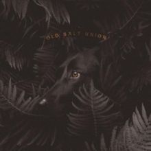 Old Salt Union Announces New Album 'Where The Dogs Don't Bite'