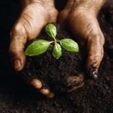 New Adaptation of ANTIGONE to Be Presented by Local Teens at Raleigh Little Theatre