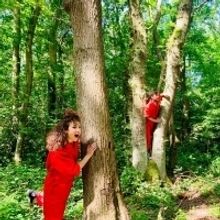 New Outdoor Multi-Arts Programme WONDER WOODS Launches in Nottingham