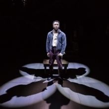 Photo Flash: The Acting Company Present NATIVE SON