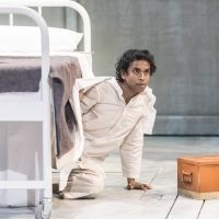Photo Flash: First Look at LIFE OF PI at Sheffield Theatres