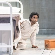 Photo Flash: First Look at LIFE OF PI at Sheffield Theatres