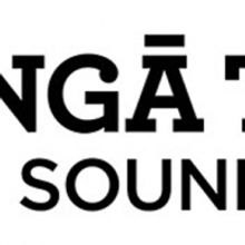 Interim Chief Executive Of Nga Taonga Sound & Vision Appointed