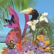 Monster Rally Announces New Album 'Adventures on the Floating Island'
