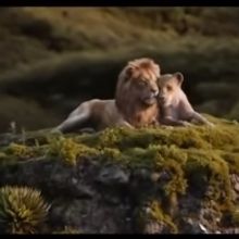 VIDEO: THE LION KING Stars Beyonce & Donald Glover Debut 'Can You Feel The Love Tonig