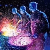 BWW Exclusive: A Spotlight on Immersive/Experiential Shows