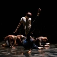 BWW Review: DOUG VARONE AND DANCERS IN THE SHELTER OF THE FOLD / EPILOGUE is Transcen