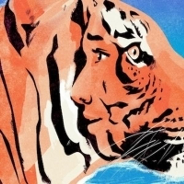 TV: Puppetry Designers Nick Barnes and Finn Caldwell On LIFE OF PI - UK Regional Theater Video