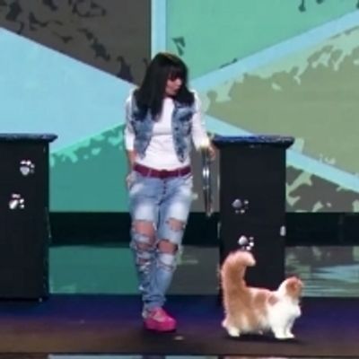 VIDEO: The CW Shares THE BIG STAGE 'Fanciful Felines, Elegant Strength, And Tightrope Trampoline' Scene