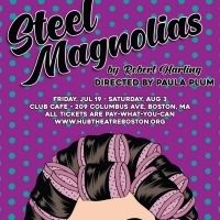 Paula Plum to Direct STEEL MAGNOLIAS With Hub Theatre Company Of Boston