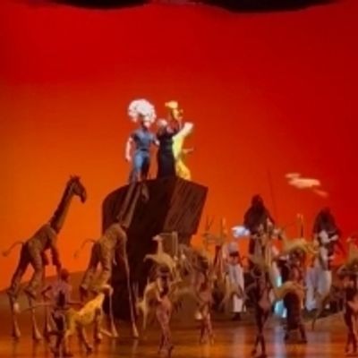 VIDEO: THE LION KING Suffers Flood Due to Blackout; The Show Goes on With Costume Adjustments