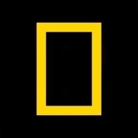 National Geographic's YELLOWSTONE LIVE Captures the Drama of America's Premier…