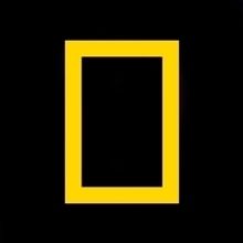 National Geographic's YELLOWSTONE LIVE Captures the Drama of America's Premier Natura