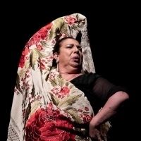 Forever Flamenco Presents BAILAR ES SENTIR At The Fountain Theatre