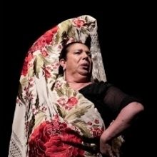 Forever Flamenco Presents BAILAR ES SENTIR At The Fountain Theatre