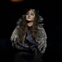 CATS International Tour Announces Cast for Manila Leg; Show Opens 11/6
