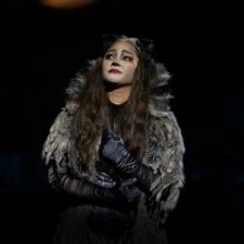 CATS International Tour Announces Cast for Manila Leg; Show Opens 11/6