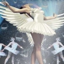 SWAN LAKE... ON THE WATER! to Premiere at Palais 12 Theater