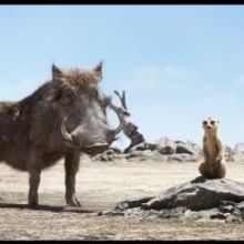 Video: New LION KING Clips Feature 'Hakuna Matata' And More!