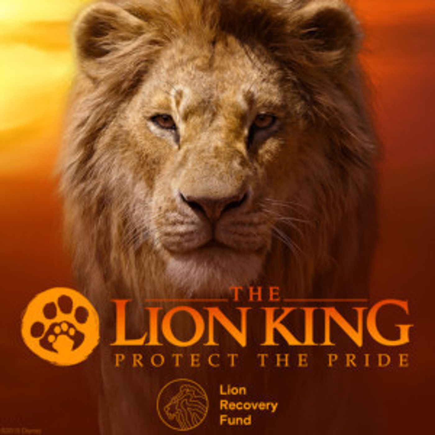 Disney and The Lion Recovery Fund Announce THE LION KING 'Protect the Pride' Campaign  Image
