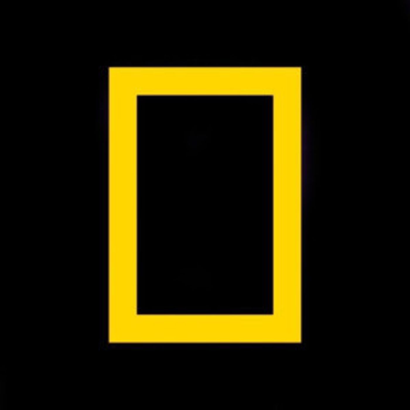 National Geographic's YELLOWSTONE LIVE Captures the Drama of America's Premier Natural Wonder National Geographic's YELLOWSTONE LIVE Captures the Drama of America's Premier Natural Wonder Image