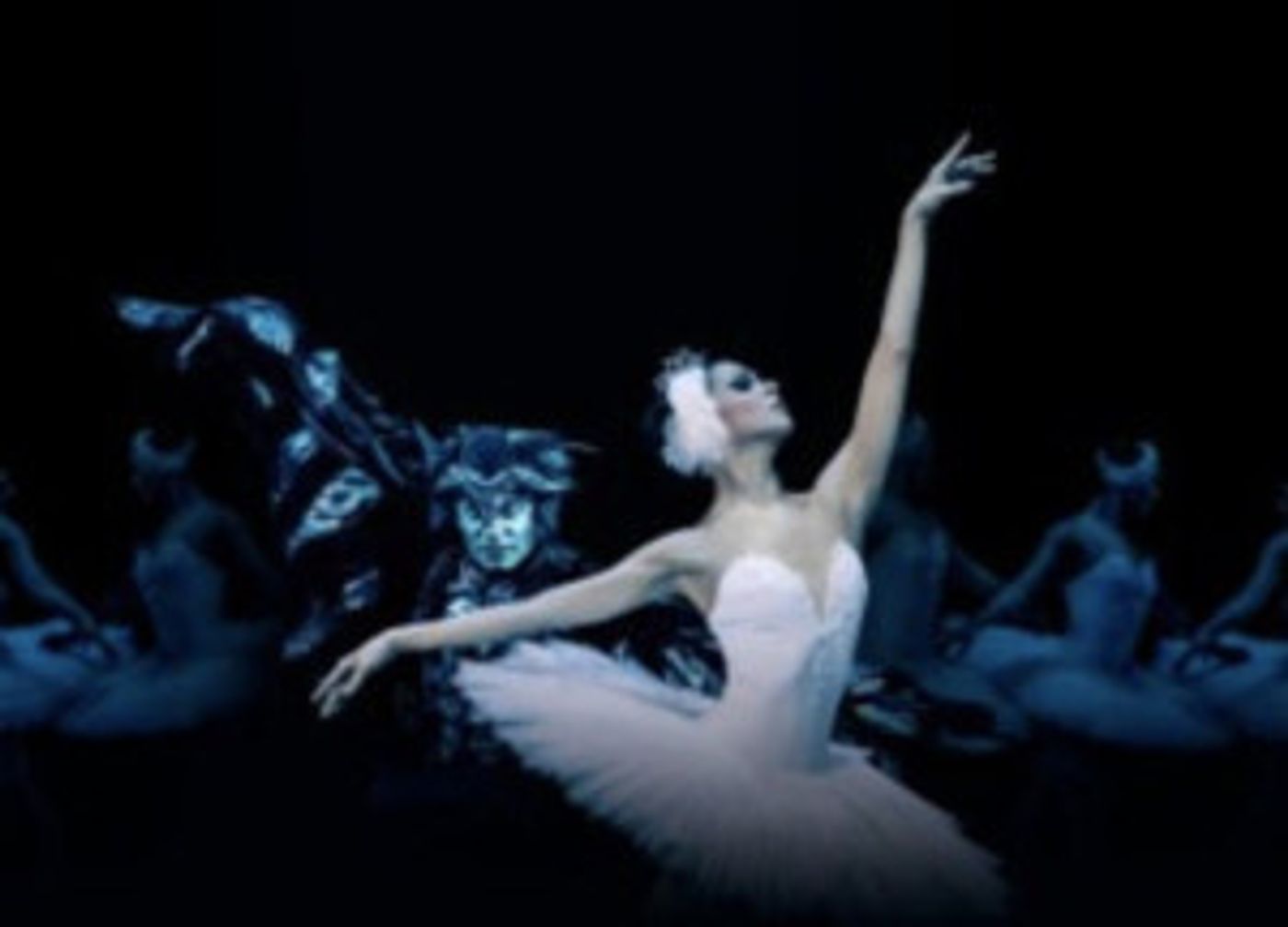 SWAN LAKE to Play Moscow Kremlin Theatre  Image