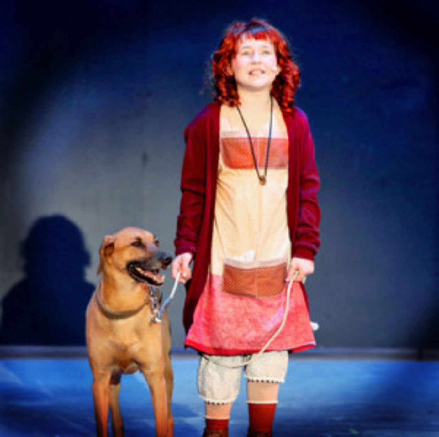 Review: ANNIE at Theatre In The Park  Image