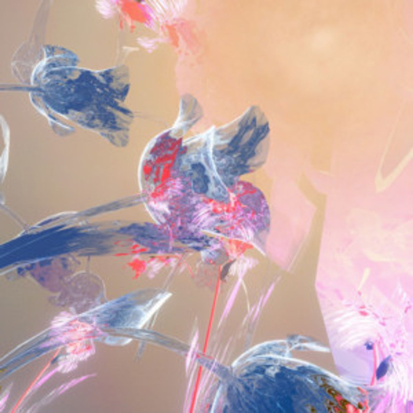 Kelly Moran Shares Video For LOVE BIRDS, NIGHT BIRDS, DEVIL BIRDS Kelly Moran Shares Video For LOVE BIRDS, NIGHT BIRDS, DEVIL BIRDS Image