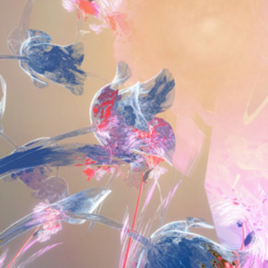 Kelly Moran Shares Video For LOVE BIRDS, NIGHT BIRDS, DEVIL BIRDS  Image
