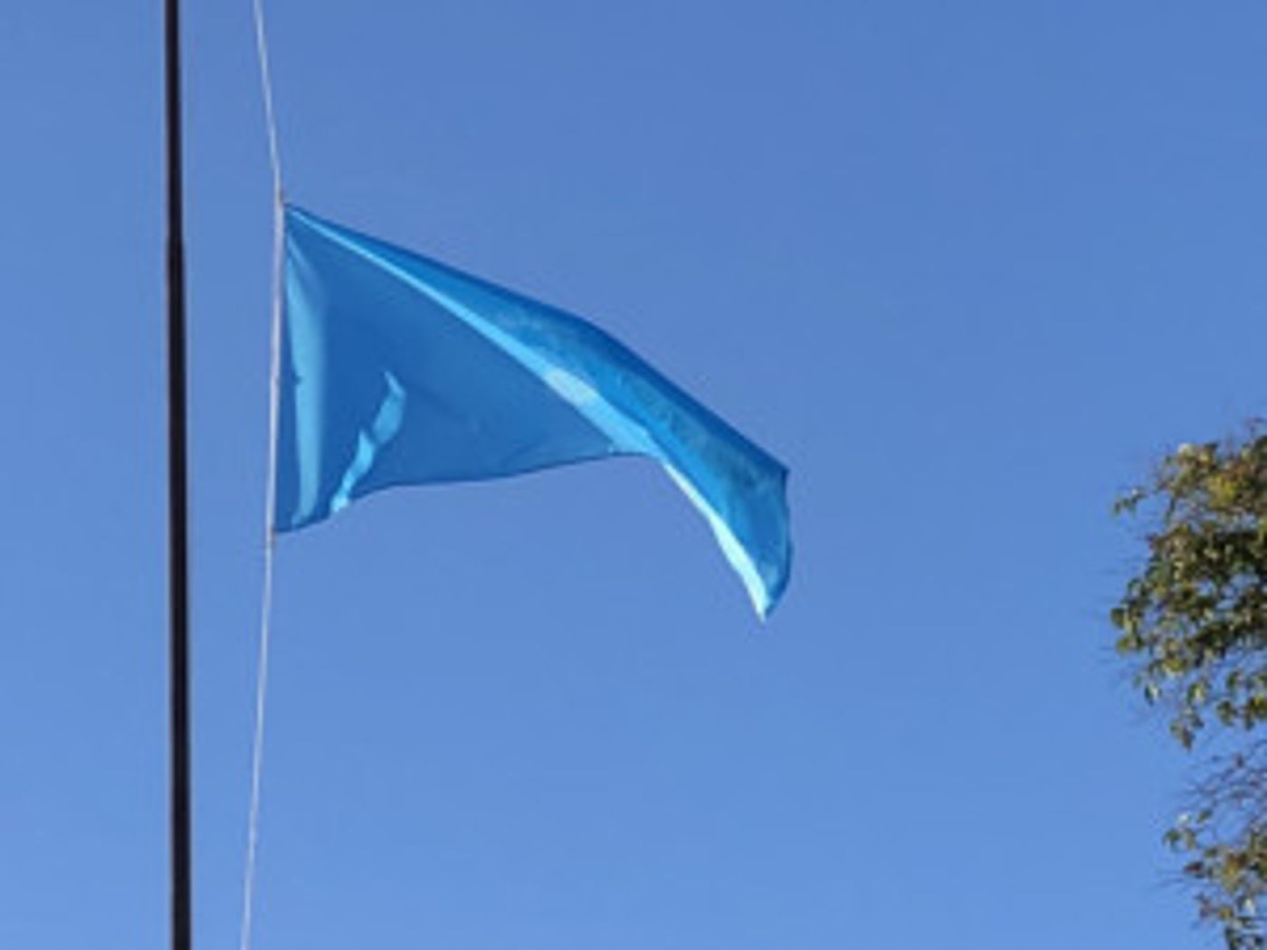 Full Programme Of Events Announced Around Ai Weiwei's New Flag For Human Rights  Image